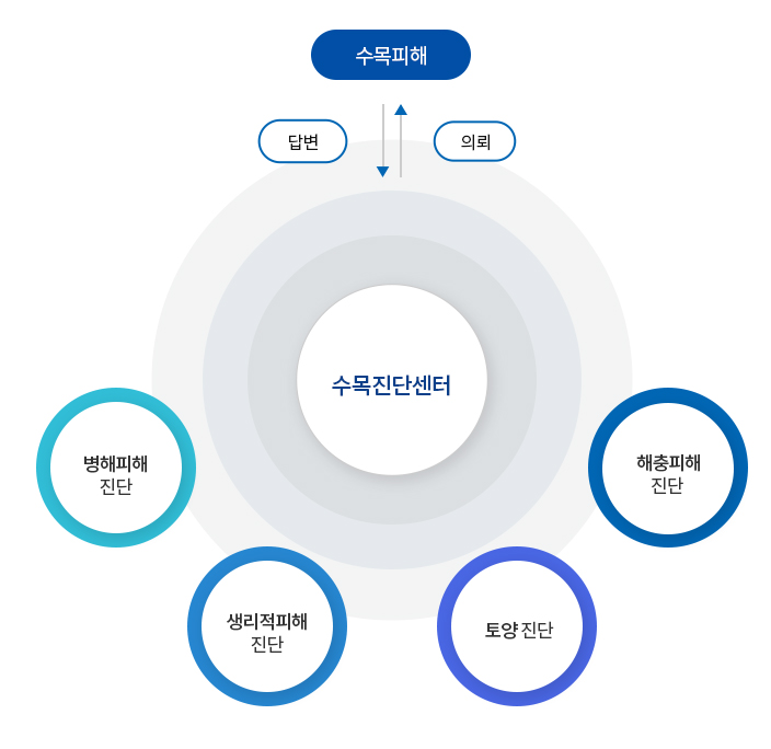 사업내용